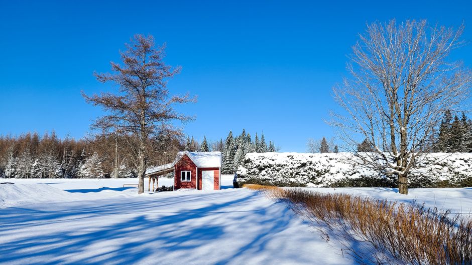 Peaceful winter scene featuring a snow-covered red cabin against a vibrant blue sky.